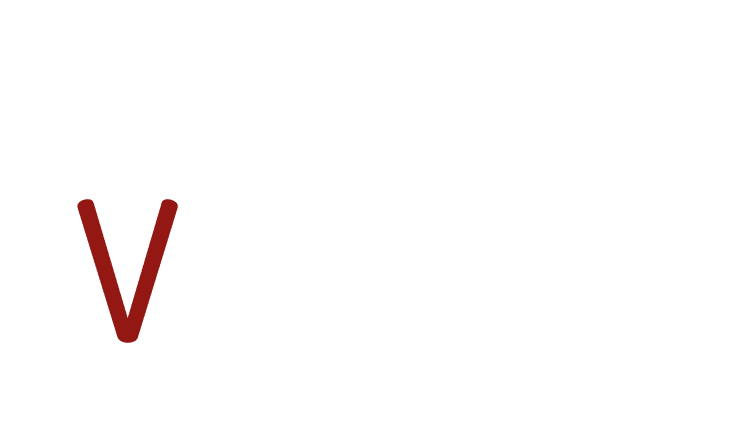 Planoise Valley logo blanc couleur