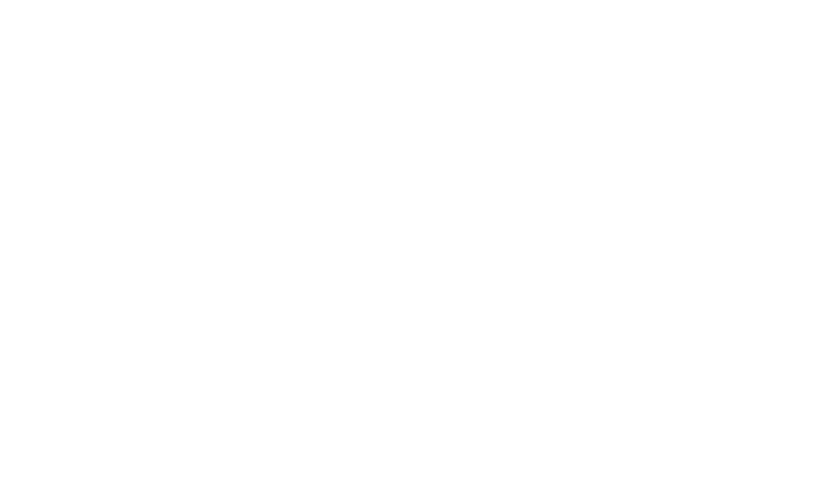 Planoise Valley logo blanc
